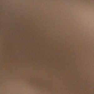 Meet your Posher, Ryann